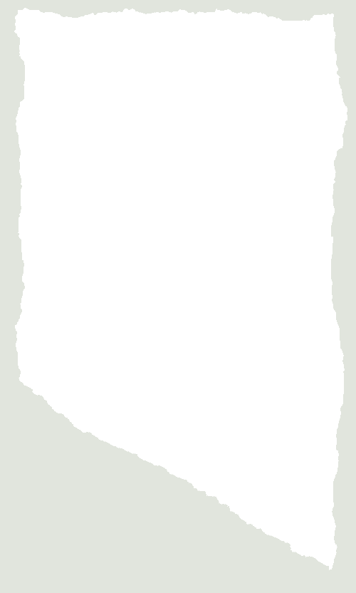 software.png