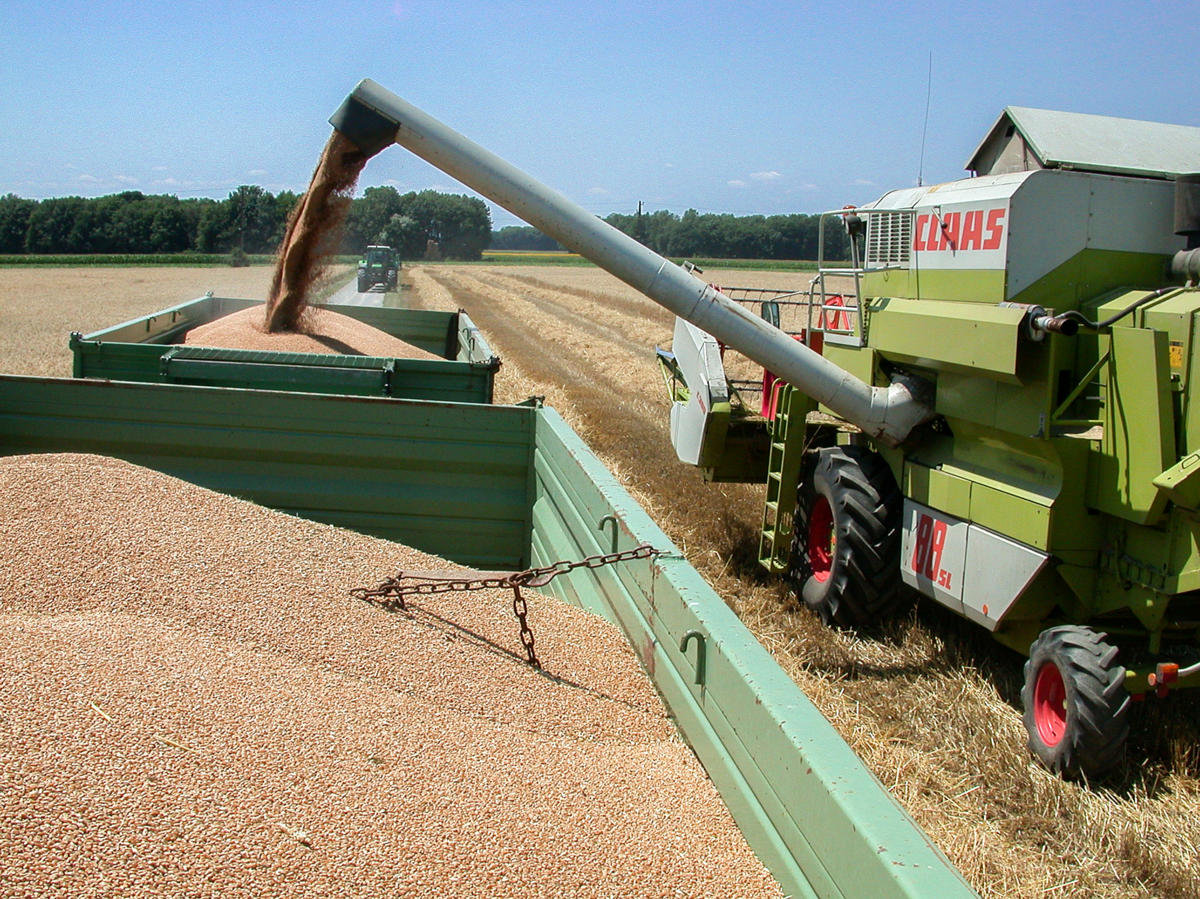 Landwirtschaft IP-Suisse
